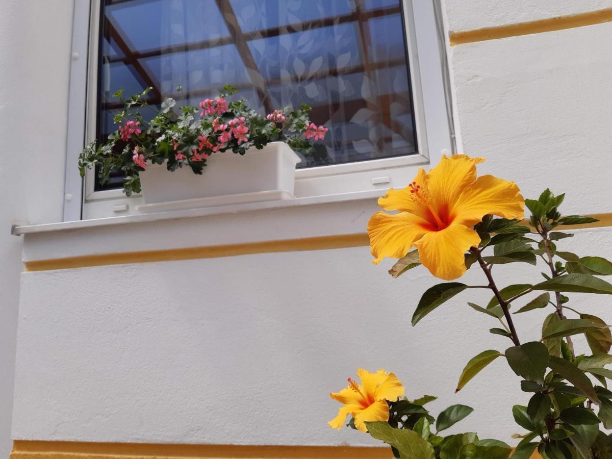Thermal Garden Mosonmagyaróvár Exterior foto